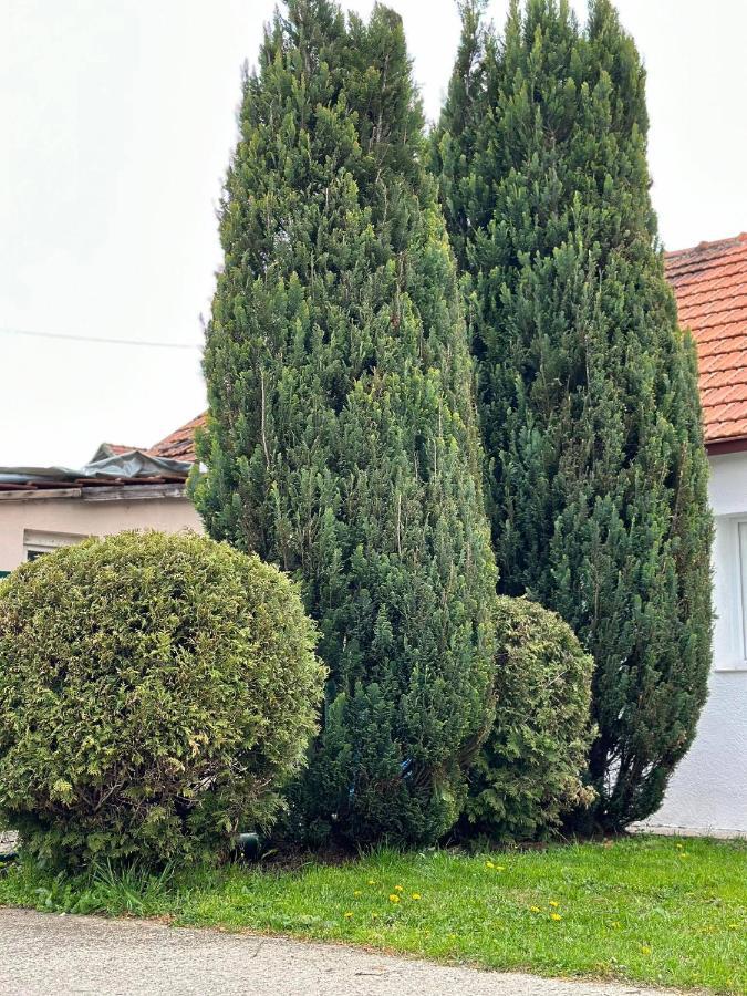 Ferienwohnung Apartman Emily Nikšić Exterior foto