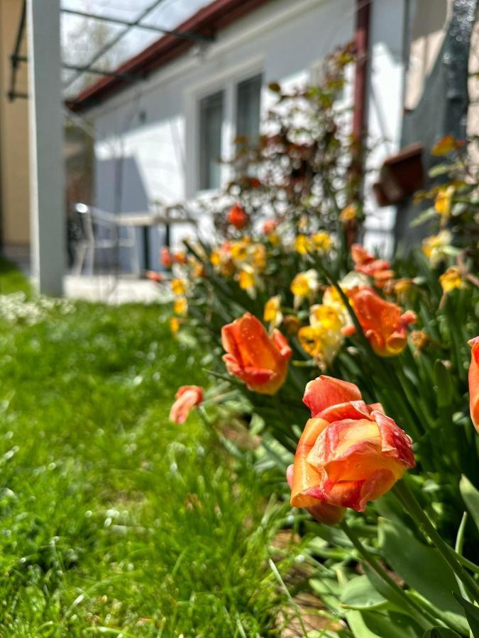 Ferienwohnung Apartman Emily Nikšić Exterior foto